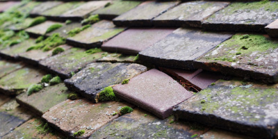 Reach roof repair costs